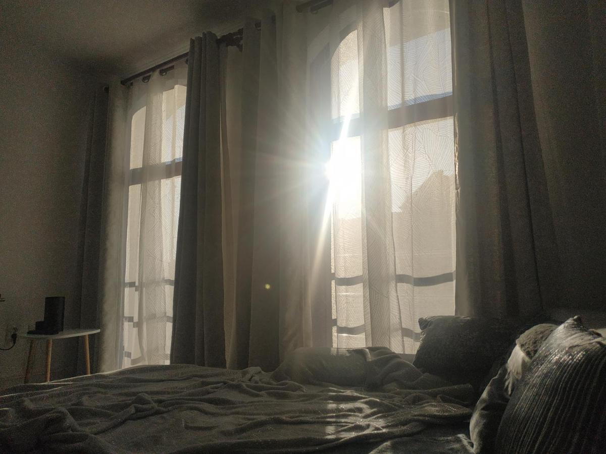 Miska Houze Apartment Oradea Bagian luar foto
